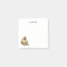 Pequeñas notas de perro de cola negra