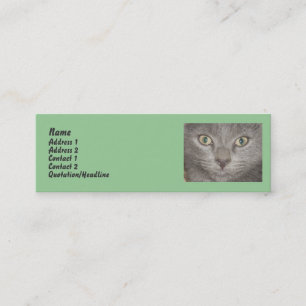 Pequeñas tarjetas de perfil Gray Kitten