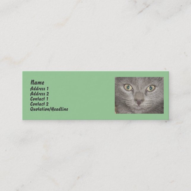Pequeñas tarjetas de perfil Gray Kitten (Anverso)