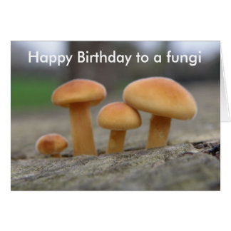 Pequeñas toadstools macrograciosa tarjeta de salud