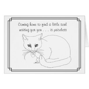 Pequeño amigo gato