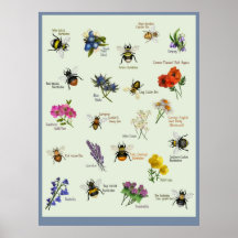 Pequeño arte | Flor de abeja y silvestre británica