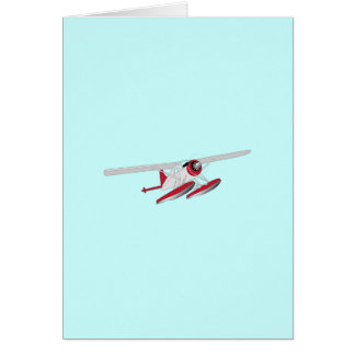 Pequeño avión de mar