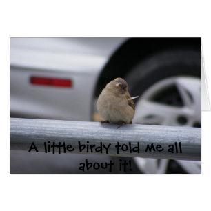 Pequeño Birdy (Personalizable)