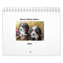 Pequeño calendario de los bebés 2017 de la nación