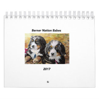 Pequeño calendario de los bebés 2017 de la nación