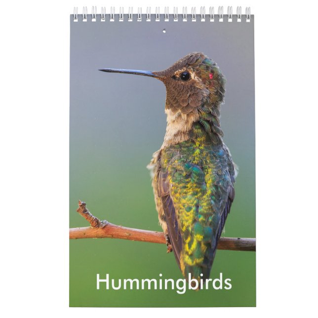 Pequeño calendario del colibrí (Tapa)