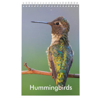 Pequeño calendario del colibrí