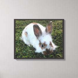 Pequeño conejo lindo en la impresión de lienzo de 