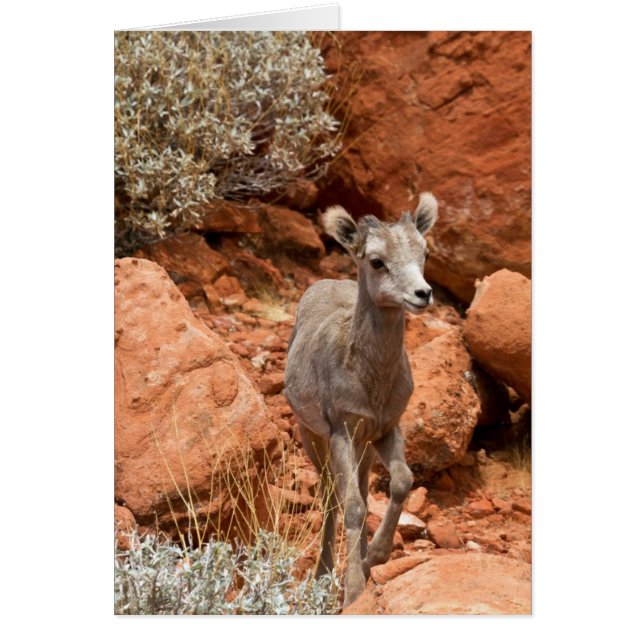 Pequeño Cuerno Grande (Frente)