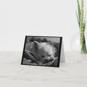 Pequeño Dreamer - Tarjeta de nota en blanco