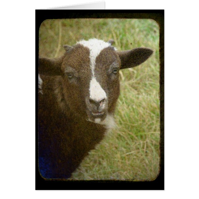 Pequeño está creciendo (Frente)