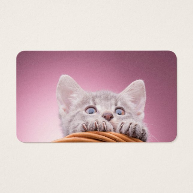 Pequeño gatito (Frente)