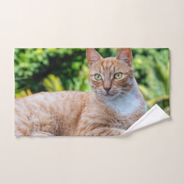 Pequeño gatito dulce (Toalla de mano)