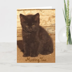 Pequeño Gatito Negro Falta Tu Tarjeta *Personaliza