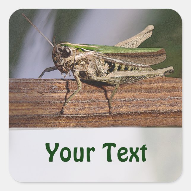 Pequeño Grapeador Verde Nombre Etiqueta Regalo (Anverso)