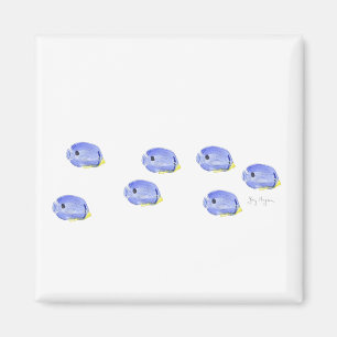 Pequeño imán azul de los pescados