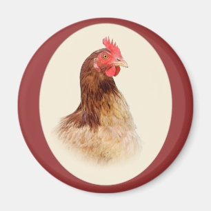 Pequeño imán de la gallina de Brown