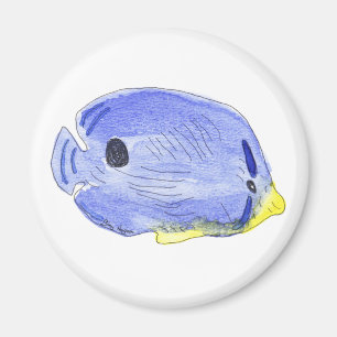Pequeño imán de peces azules