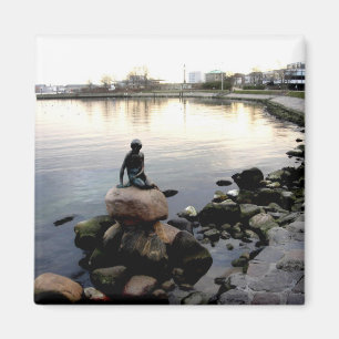 pequeño imán de sirena