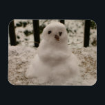 Pequeño imán flexible para Snowman<br><div class="desc">¡Es un pequeño muñeco de nieve! Sí, un año después de una nevada nocturna, junté algo de nieve de la barandilla del porche e hice a este pequeño muñeco de nieve con sus tetas de ramas para los brazos y trozos de chocolate para sus ojos y nariz. Ahora, ¡estoy compartiendo...</div>
