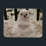 Pequeño imán flexible para Snowman<br><div class="desc">¡Es un pequeño muñeco de nieve! Sí, un año después de una nevada nocturna, junté algo de nieve de la barandilla del porche e hice a este pequeño muñeco de nieve con sus tetas de ramas para los brazos y trozos de chocolate para sus ojos y nariz. Ahora, ¡estoy compartiendo...</div>