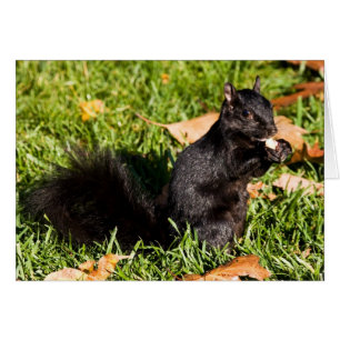 Pequeño individuo nervioso