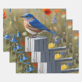 Pequeño juego de hojas planas de papel para envolv