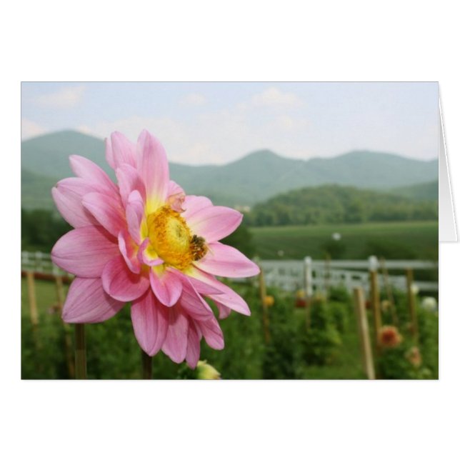 Pequeño mundo grande (Anverso (Horizontal))