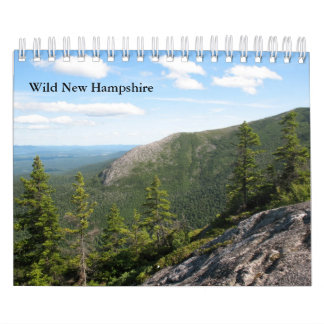 Pequeño New Hampshire calendario de pared salvaje