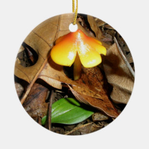 Pequeño ornamento de Navidad de champiñón rojo ama