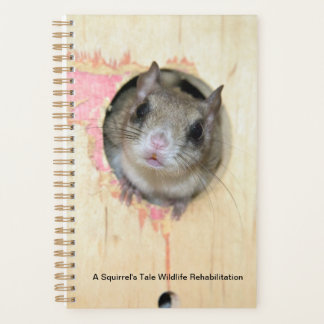 Pequeño planificador