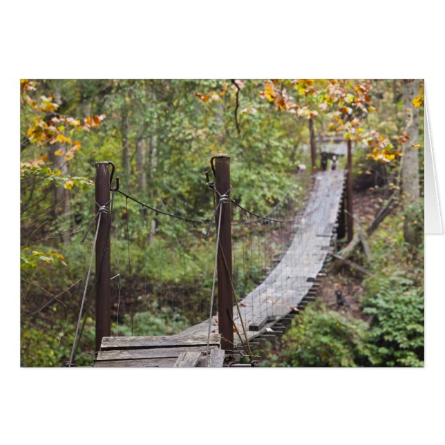 Pequeño puente colgante, patrimonio nacional de ca (Anverso (Horizontal))