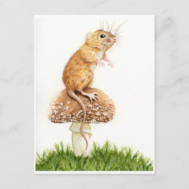 Pequeño ratón curioso sobre la postal de hongos (Anverso)