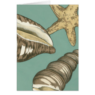 Pequeño trío de conchas en Verde azulado