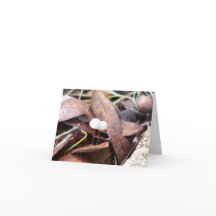 Pequeños hongos con tarjeta de felicitación doblad