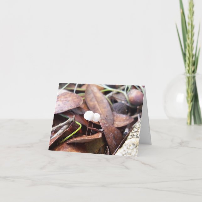 Pequeños hongos con tarjeta de felicitación doblad (Anverso)