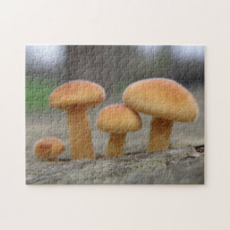 Pequeños Hongos Macro Puzzle
