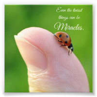 Pequeños Milagros De Ladybug Cita Fotografía Cuadr