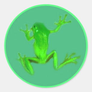 Pequeños Pegatinas de Greeny Froggy