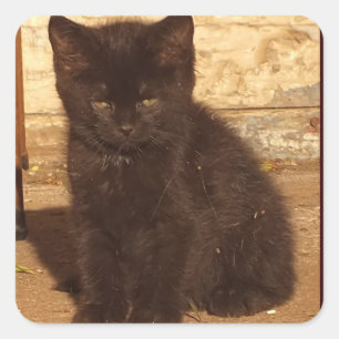 Pequeños Pegatinas de Kitten negros