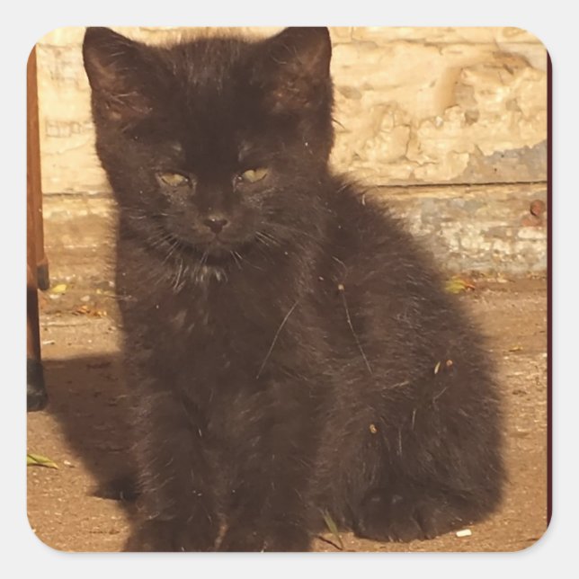Pequeños Pegatinas de Kitten negros (Anverso)