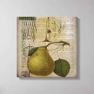 pera de fruta de impresión botánica moderna