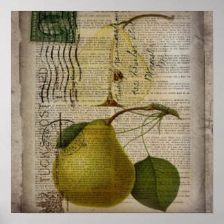 peras de fruta de impresión botánica de Vintage mo