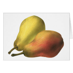 Peras vintage, alimentos orgánicos, fruta madura