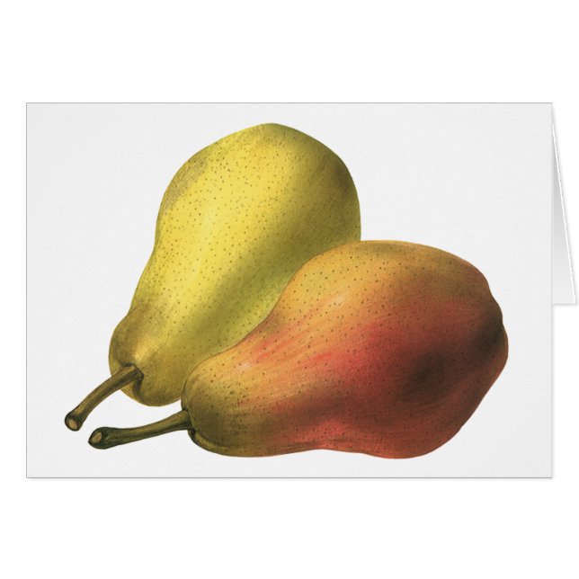 Peras Vintage, Alimentos Orgánicos, Frutas Maduras (Anverso (Horizontal))