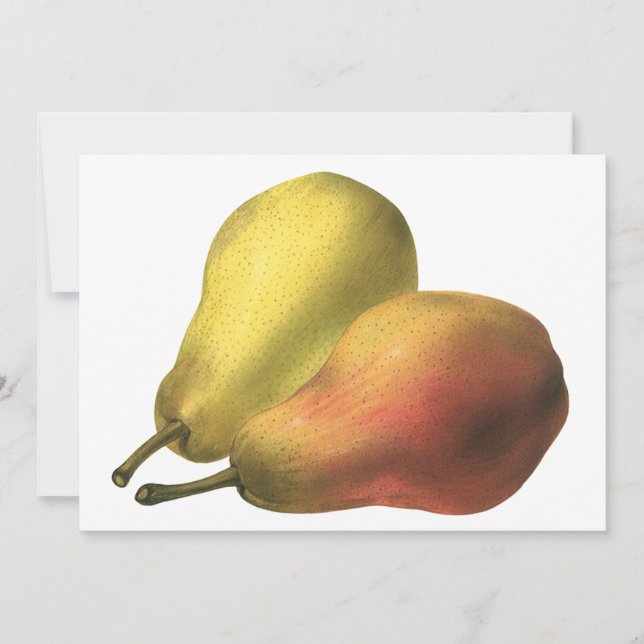 Peras Vintage, Alimentos Orgánicos, Frutas Maduras (Anverso)