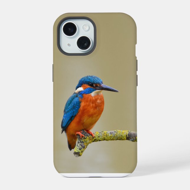 Perching Kingfisher (Reverso )