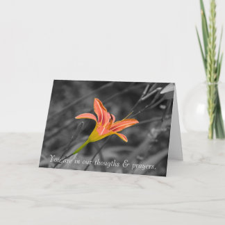 Perder su tarjeta de condolencia de la madre