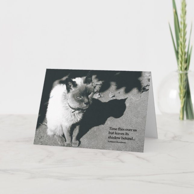 Pérdida de tarjeta de condolencia del gato (Anverso)